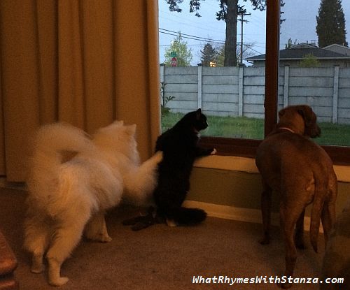 “What’s going on? Let me look!”