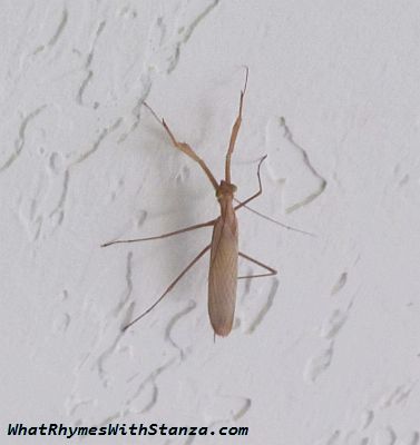 I discover sooner rather than later when I should scream and do the get-that-creepy-thing-off-me dance.