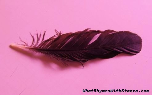 feather