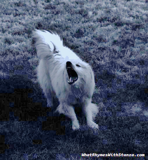 28-howling-at-the-moon-2