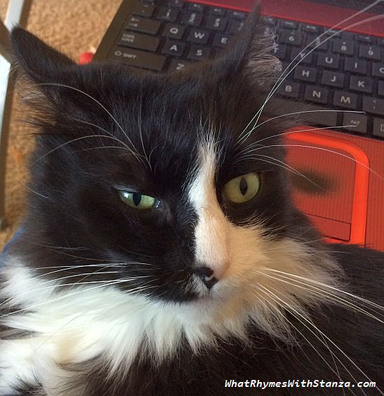 hide 2 do I have a choice