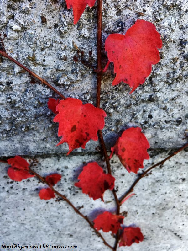 30 leaves3