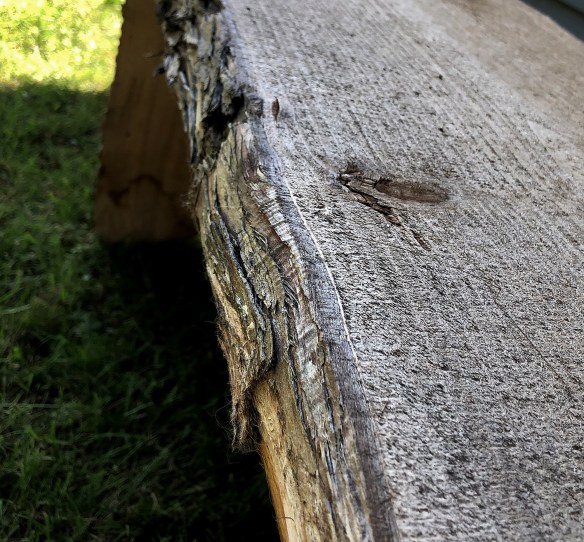 cedar bench