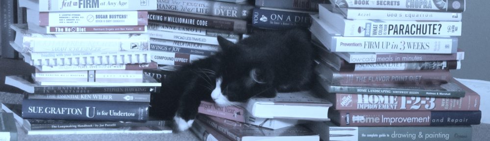 What Rhymes with Stanza?